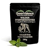 GreenValence Wilder Pfefferminztee geschnitten - Premium Wildsammlung aus Portugal - Handgeerntet &...